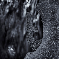 Fragile Stability